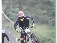2014-07-12 -D47I2961 : DHFFEST